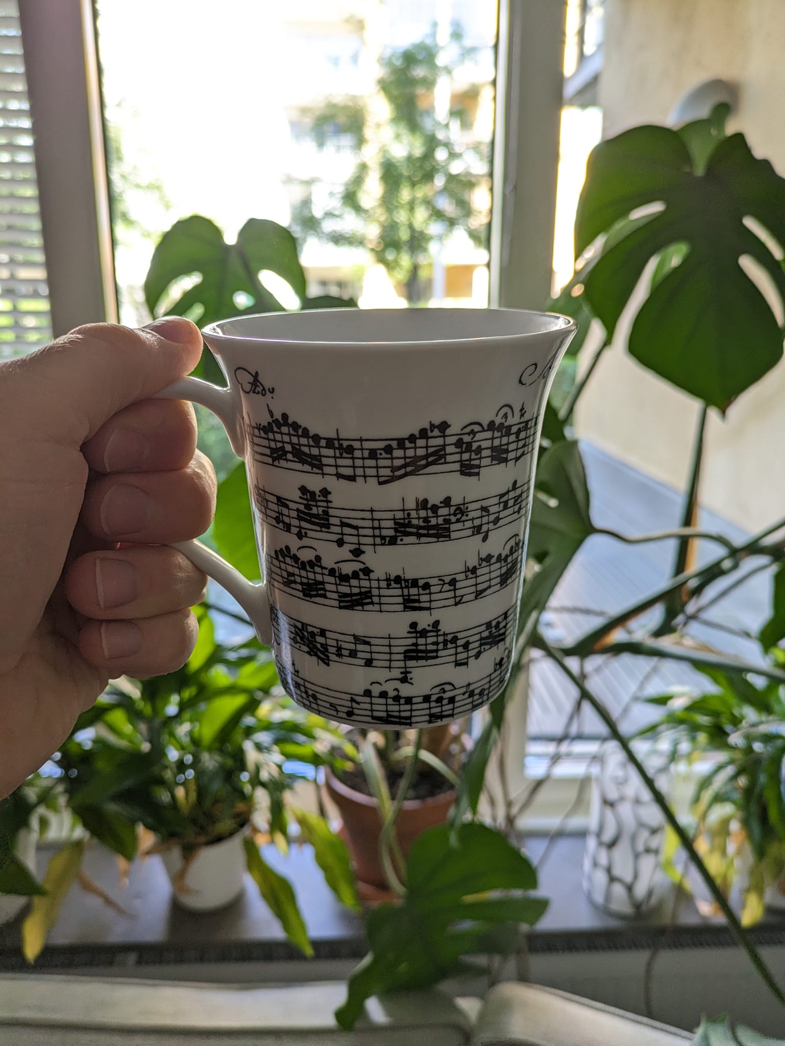 Vivaldis oboesonat på en kopp